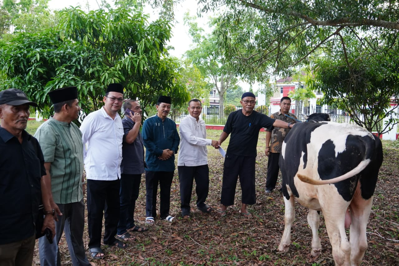 Segini Jumlah Hewan Qurban Pemkab Banyuasin